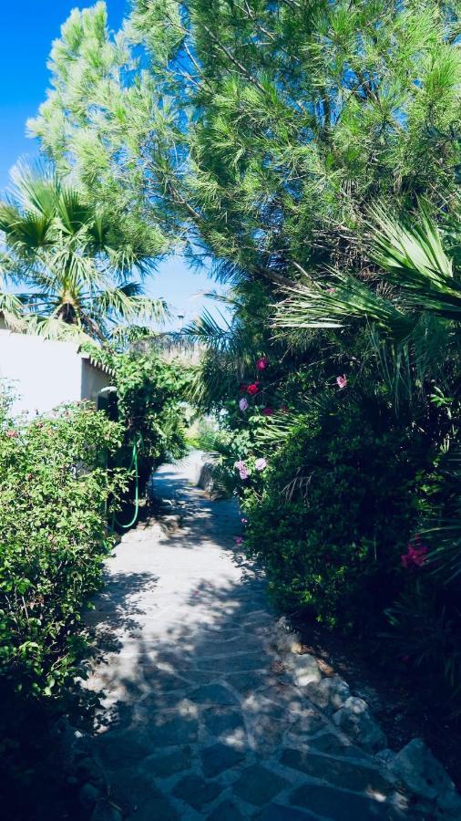Cortijo Paraiso Charcon Higuera 外观 照片
