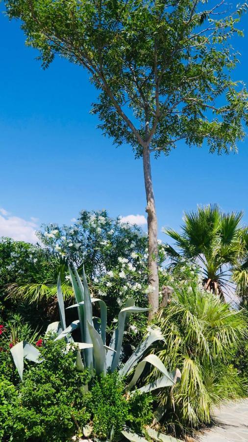 Cortijo Paraiso Charcon Higuera 外观 照片