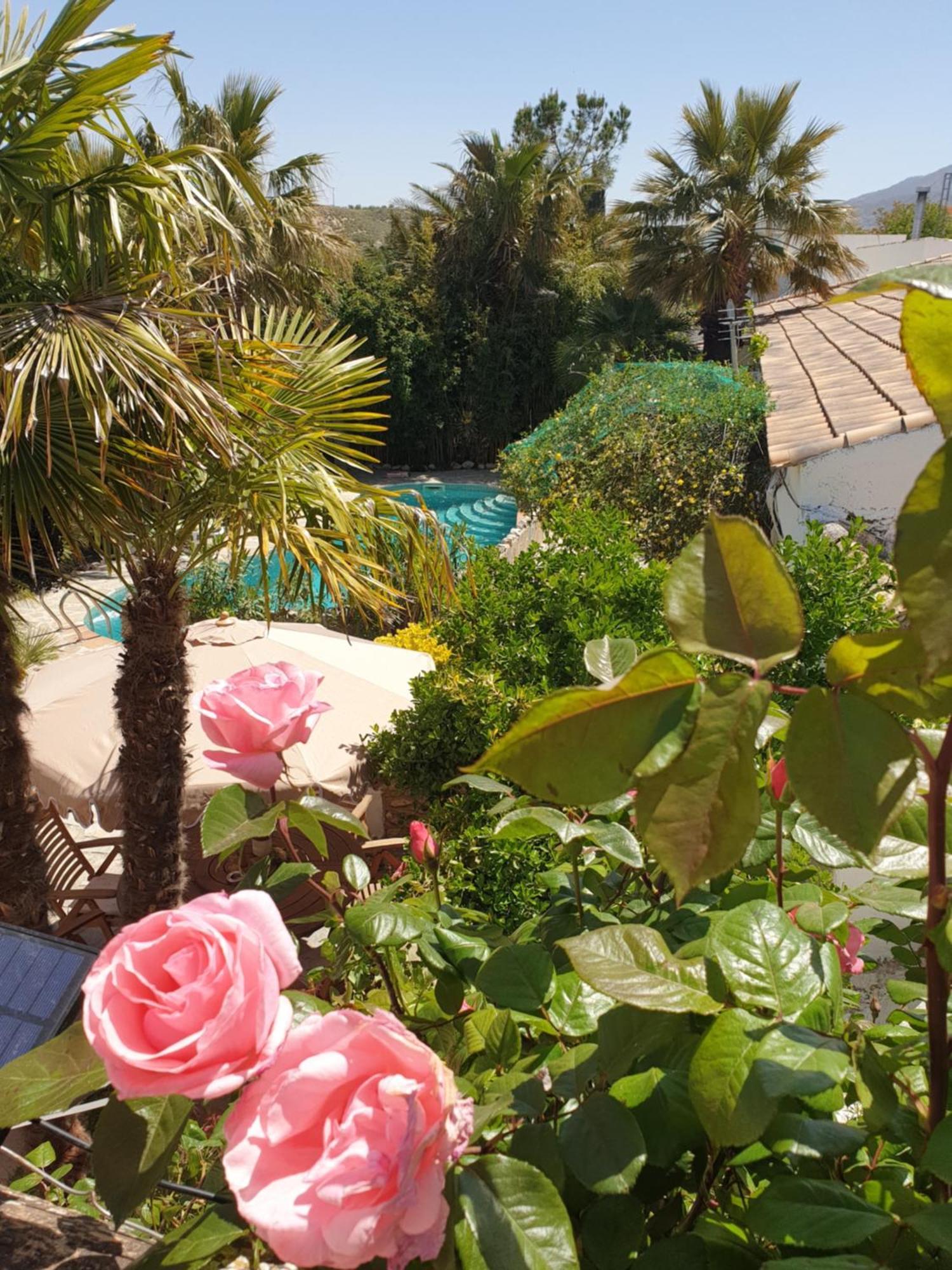 Cortijo Paraiso Charcon Higuera 外观 照片